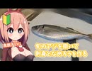 【魚捌きLv.1】日本酒とアジとバニーガール【#7】