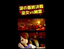 涙の最終決戦 巫女vs.幽霊
