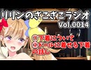 第14回目は『ドールの下着購入について』と『ドールに着せるインナーの話し』【リリンのざこざこラジオ】