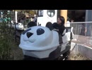 【家族旅行】ADVENTURE WORLD：パンダフルコースターに乗るあい♥前日は動いていなかったので乗ることが出来て大喜び♬