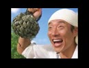 松岡修造 出演CMまとめ サンヨー食品