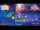 【SYNDUALITY Echo of Ada】Part170 嵐ときどきPKか協力プレイ【COEIROINK実況】