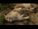 [Green Hell] ジャングル動物園16 [緑色の地獄]