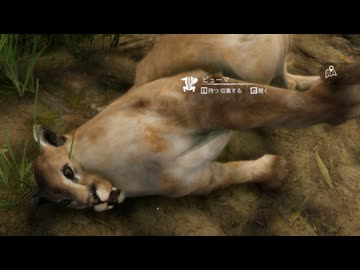 [Green Hell] ジャングル動物園16 [緑色の地獄]