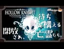【ホロウナイト】解放され、待ち構える亡霊たち。part20【きな子/実況プレイ】