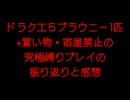 【完結】【ドラクエ５究極縛りプレイ】　ブラウニー１匹＋買い物・宿屋禁止の振り返りと感想！　二度とやりたくない...