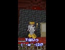 【マイクラ実況】ネザー突入回はここまで！次回は海洋神殿！【全バイオームに村を作る】 #マイクラ実況 #街づくり#マイクラサバイバル#マイクラ統合版