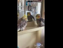 おやすみはいつものところで待ち合わせ