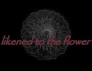 likened to the flower／初音ミク