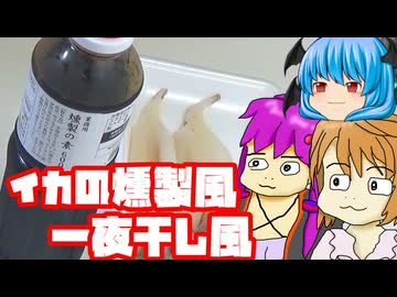【燻製の素】イカの燻製でもなく一夜干しでもないなにか