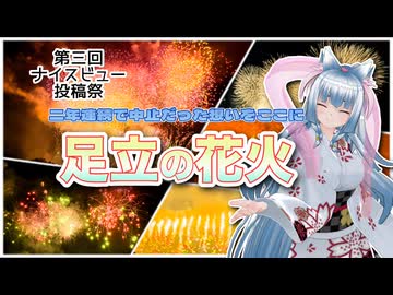 【第3回ナイスビュー投稿祭】足立の花火【東北イタコ】