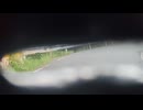 SMK〔ソビエト連邦の戦車〕を操縦している気分になれる映像.