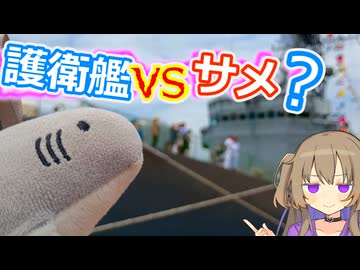 サメが護衛艦を見ていくサメ