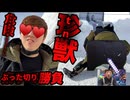 【ガム】膣元の墓地で実験用のtn♪獣とぶった切りバトル【tn♪獣ハンターグロキン】