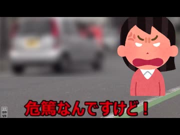 ホモと見る自分の言うことを聞かない警察にブチギレる女