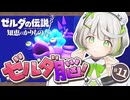ゼルダの伝説 知恵のかりもの ┆ゼルダの水系ダンジョンは立体的で毎回すごい┆11〖 初見実況 〗