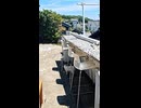 島のカフェ開いてた! 席に着くとアイドル猫ちゃんやって来た
