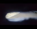 オチキスH35〔フランスの戦車〕を操縦している気分になれる映像