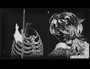 乙女解剖 / DECO*27｜cover / 天道旭