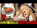 【スケトウダラ】九州の海では一匹も獲れないのに明太子が博多名物になった理由【ゆっくり解説】