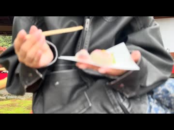 日本庭園 ソロ活散歩vlog