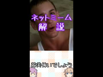 ゆかつむネットミーム解説【茂美怖いでしょう】