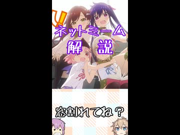 ゆかつむネットミーム解説【窓割れてね？】