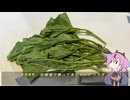 珍食材が食べたい！#233 オカノリ
