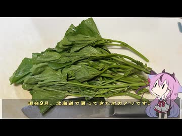 珍食材が食べたい！#233 オカノリ