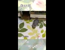 【うさぎ 5歳】おいで