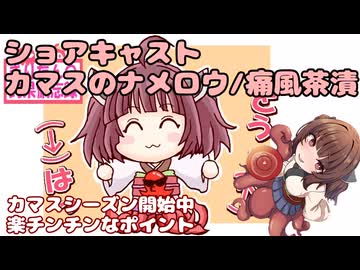 きりたんの釣果酒肴禄　カマスショアキャスト/ナメロウと痛風茶漬け