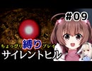 ちょっぴり縛りで【サイレントヒル】を一人と一羽がプレイ part9
