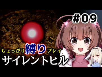 ちょっぴり縛りで【サイレントヒル】を一人と一羽がプレイ part9