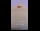 シン・タンタカタンタンタンタンメン / ぼっちぼろまる (acapella cover)