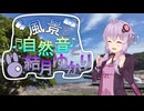 伊豆の石ころ観察と波の音と結月ゆかり