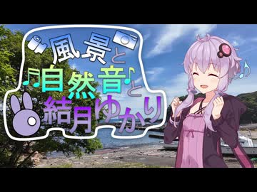 伊豆の石ころ観察と波の音と結月ゆかり