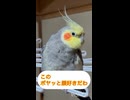 なぎの妖怪アンテナ□