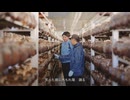東北電力ＣＭ「明日に向かって」