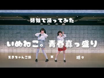 【瑚々×えまちゃんこ鍋】姉妹で いぬねこ。青春真っ盛り 踊ってみた