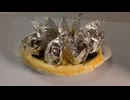 川でブラックバスを乱獲して、生首さらすあの有名なパイを作って食べてみた
