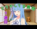 【1通目】琴葉葵が、どうかしてるお手紙の質問に回答する【第六回10秒動画祭】