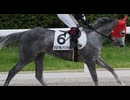 2026年4月29日_笠松競馬_10R_第5回ウマ娘シンデレラグレイ賞