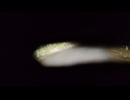 マガフ（マガフ3／5、マガフ6、マガフ7）〔イスラエルの戦車〕を操縦している気分になれる映像