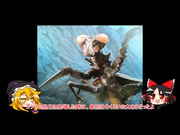 ゆっくり怪獣紹介【カマキラス】リメイク