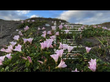 【朗読】雑詩草子（動画版）第十三集【VOICEVOX:冥鳴ひまり・VOICEVOX:WhiteCUL・VOICEVOX Nemo:女声2（透川ナナ）】