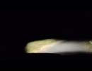M-84〔ユーゴスラビアの戦車〕を操縦している気分になれる映像