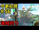 海賊狩りのリンク【ゼルダの伝説 ティアーズ オブ ザ キングダム】Part56