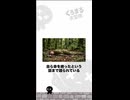 世界一痛い植物 地獄の針ギンピ・ギンピの恐怖 #雑学 #くろまる大冒険
