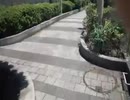 ああああああああ