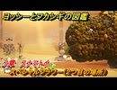ヨッシーとフカシギの図鑑　７章　スナマトイ　スペシャルフラワー（２つ目の場所）　＃２２５　【Switch2】